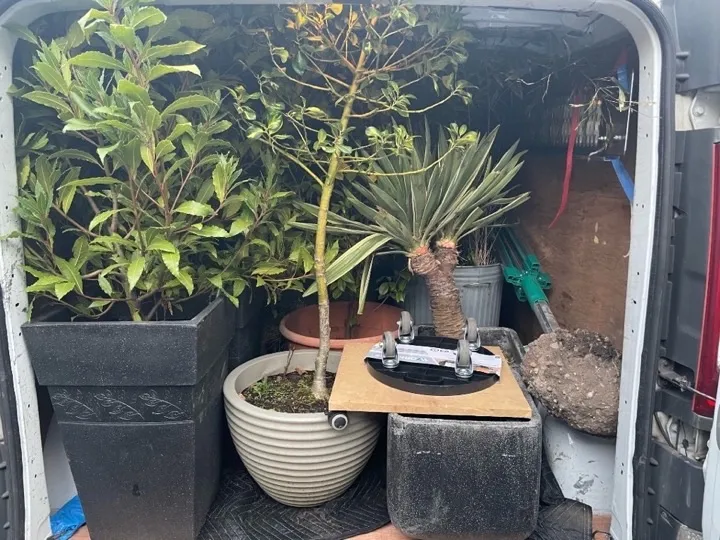Large potted plants and garden planters loaded in a delivery van with moving blankets for garden item collection